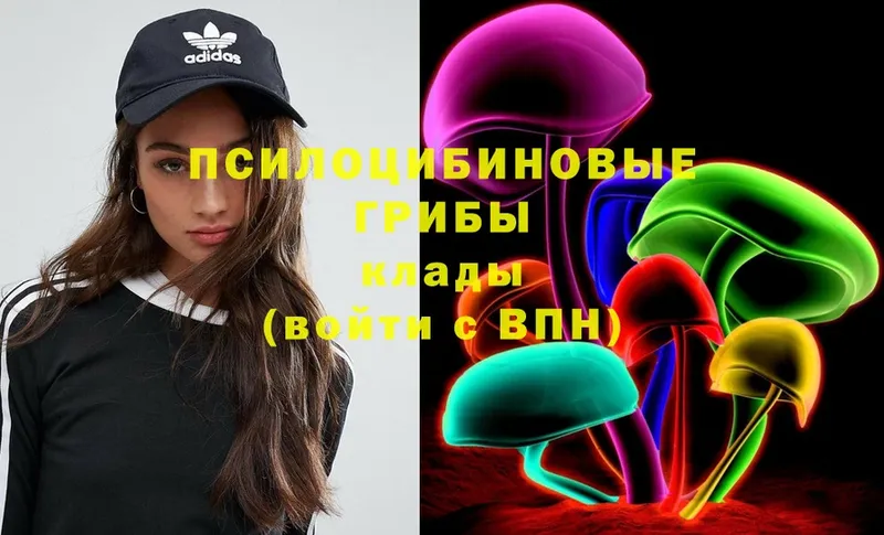 Псилоцибиновые грибы MAGIC MUSHROOMS  darknet какой сайт  Кедровый 